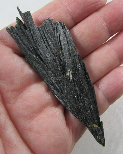 Black Kyanite (Witches Broom) - Stone of Conscious Awareness