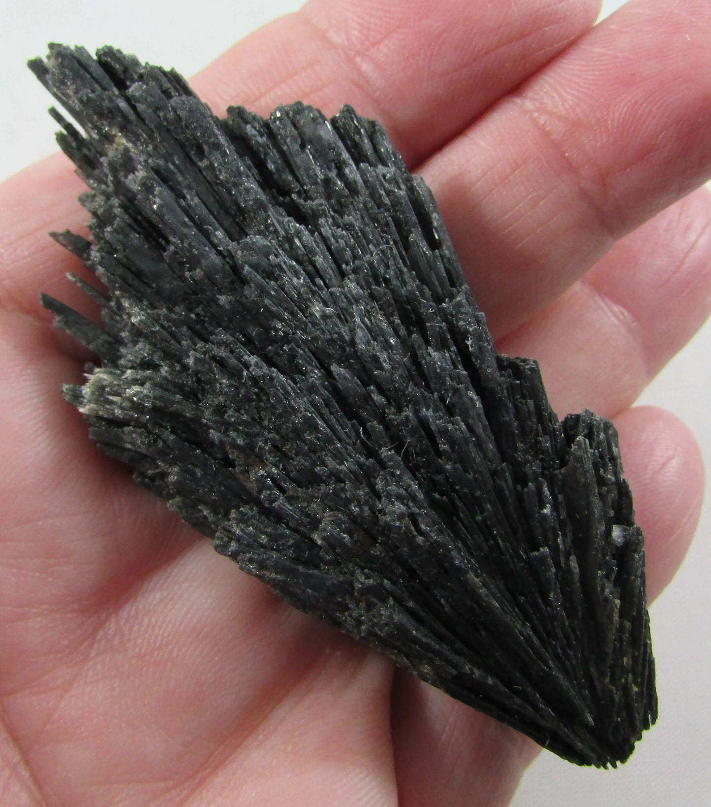 Natural Black Kyanite Fan Witches Broom brazil mineral