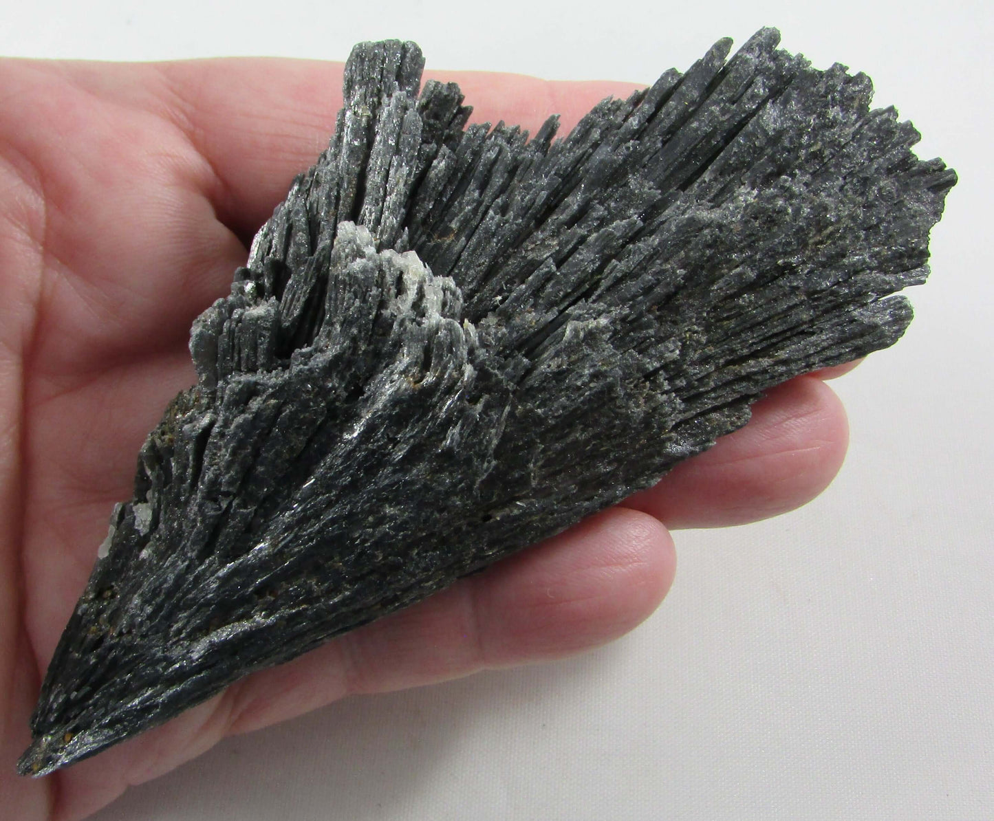 Black Kyanite (Witches Broom) - Stone of Conscious Awareness