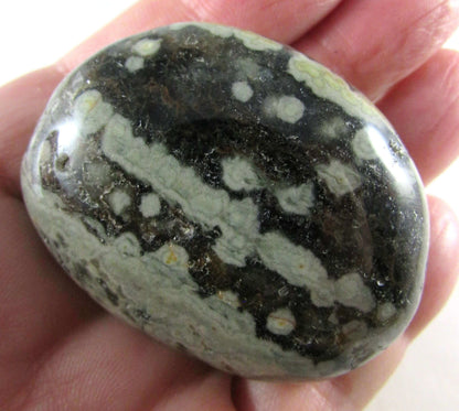 Ocean Jasper Palmstone (NM126)