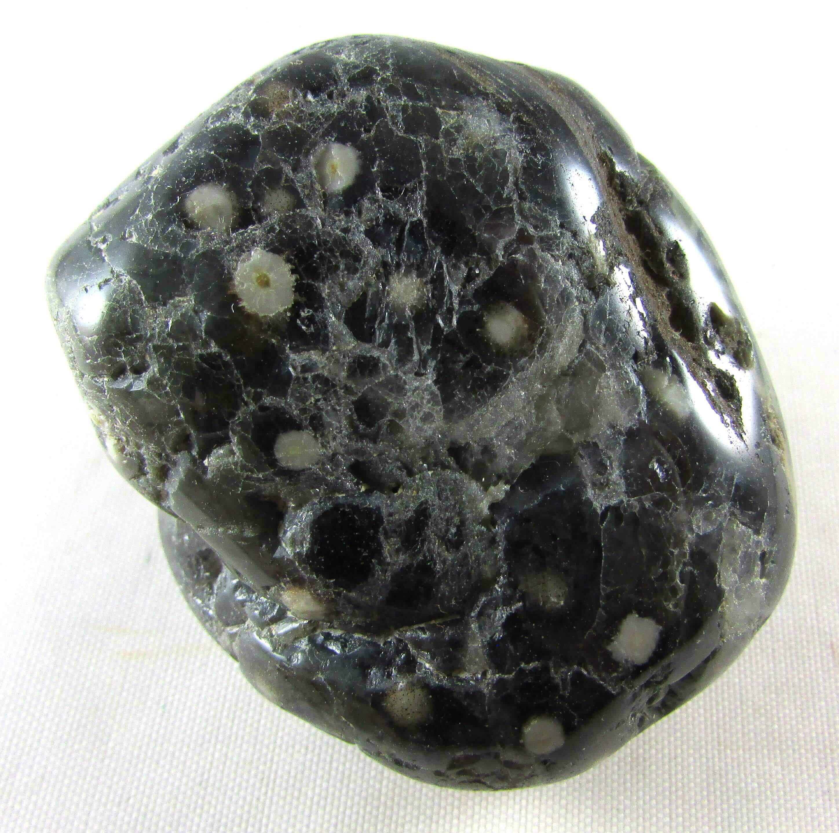 Ocean Jasper Palmstone – Joy, Emotional Healing & Atlantean Wisdom