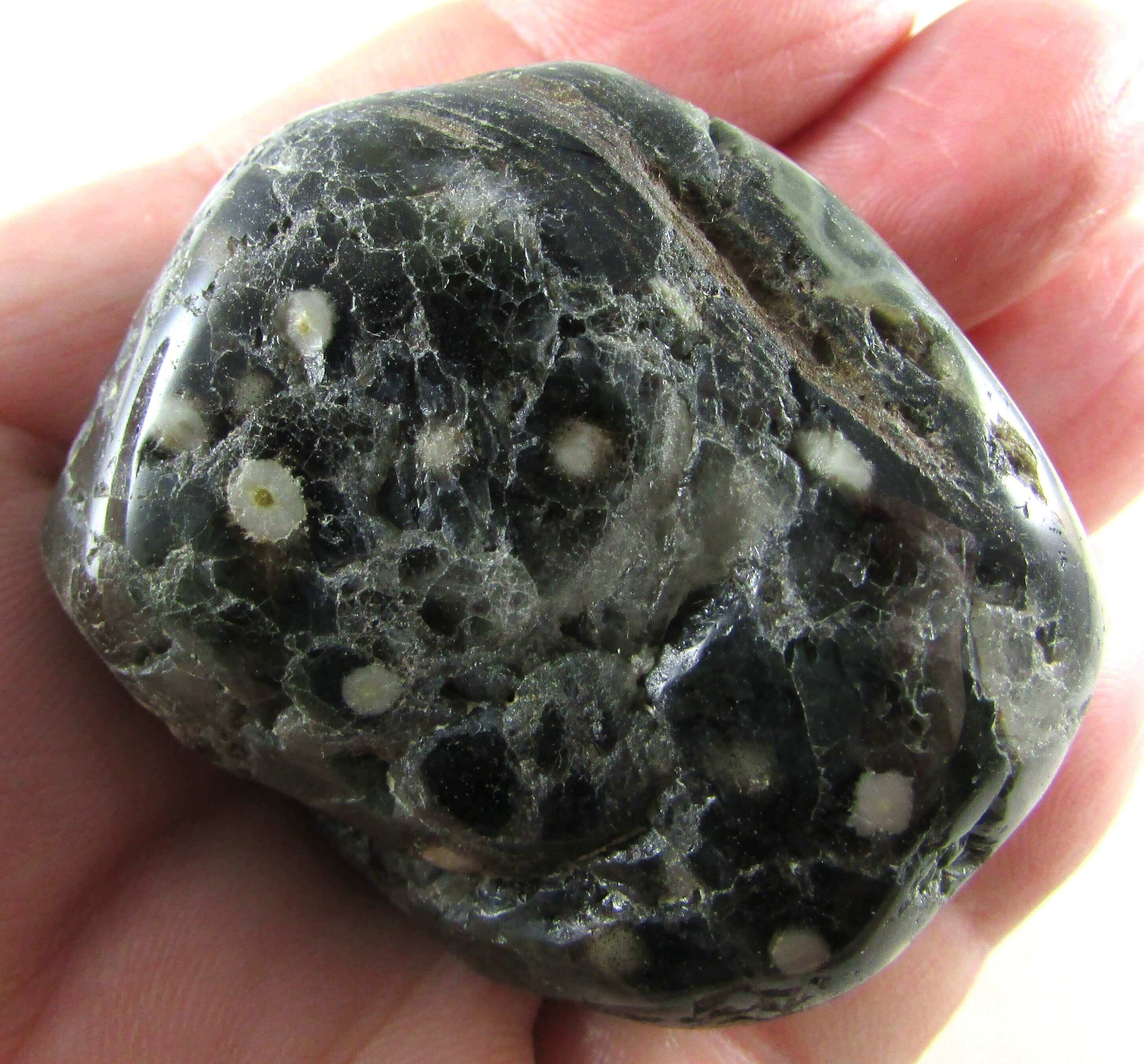 Ocean Jasper Palmstone – Joy, Emotional Healing & Atlantean Wisdom