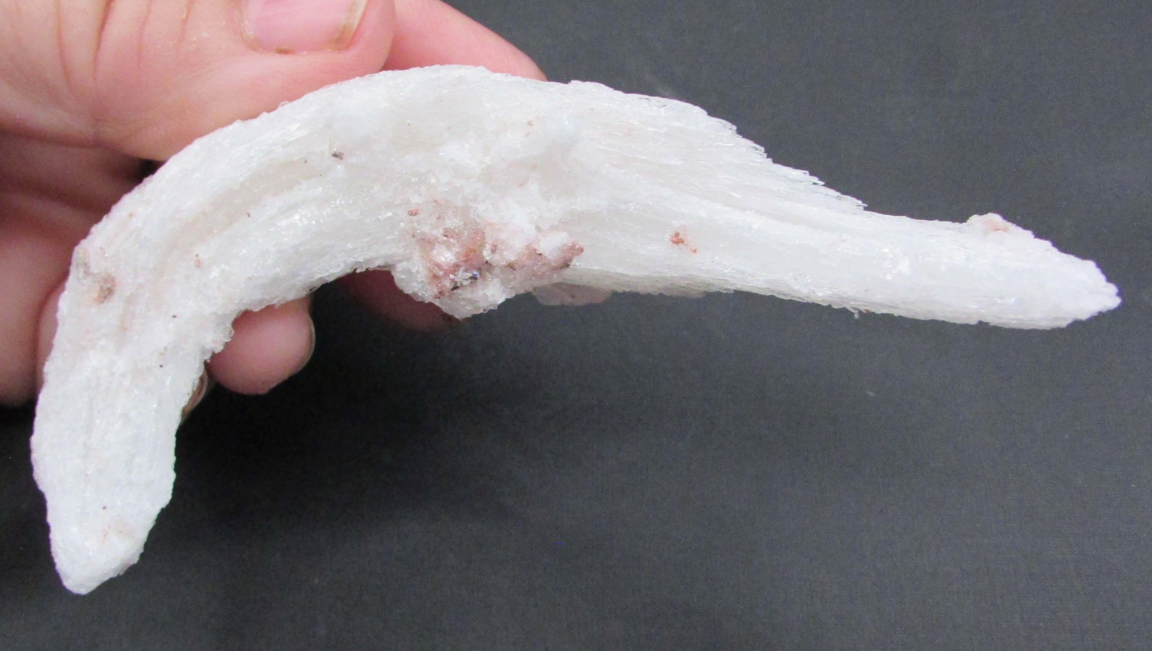Ram's Horn Selenite - Stone of Spiritual Activation, Mental Clarity [GM111]