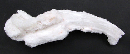 Ram's Horn Selenite - Stone of Spiritual Activation & Transformation