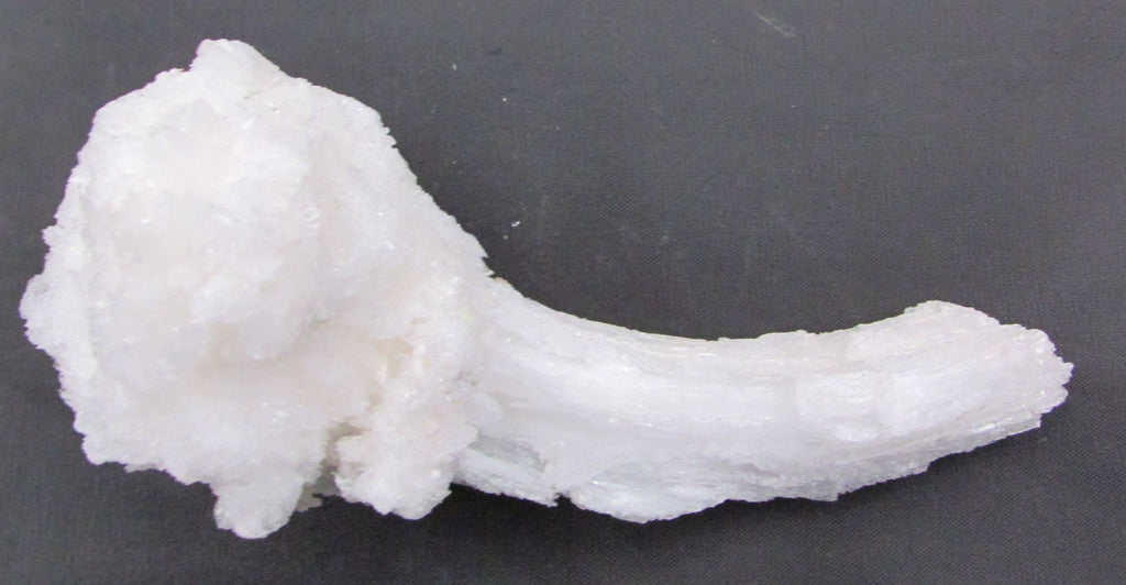Ram's Horn Selenite - Stone of Spiritual Activation, Mental Clarity [GM113]