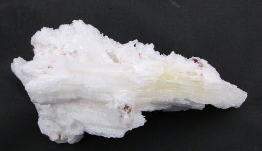 Ram's Horn Selenite - Stone of Spiritual Activation & Transformation