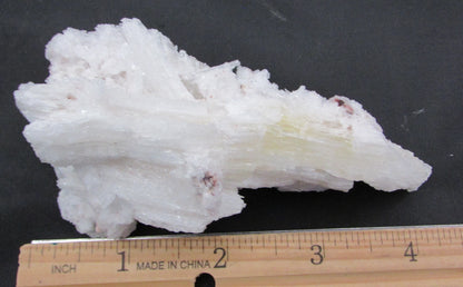 Ram's Horn Selenite - Stone of Spiritual Activation & Transformation