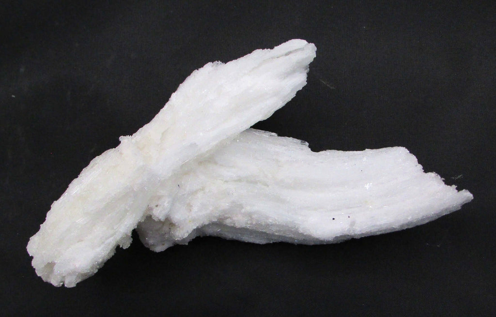 Ram's Horn Selenite - Stone of Spiritual Activation, Mental Clarity [GM115]