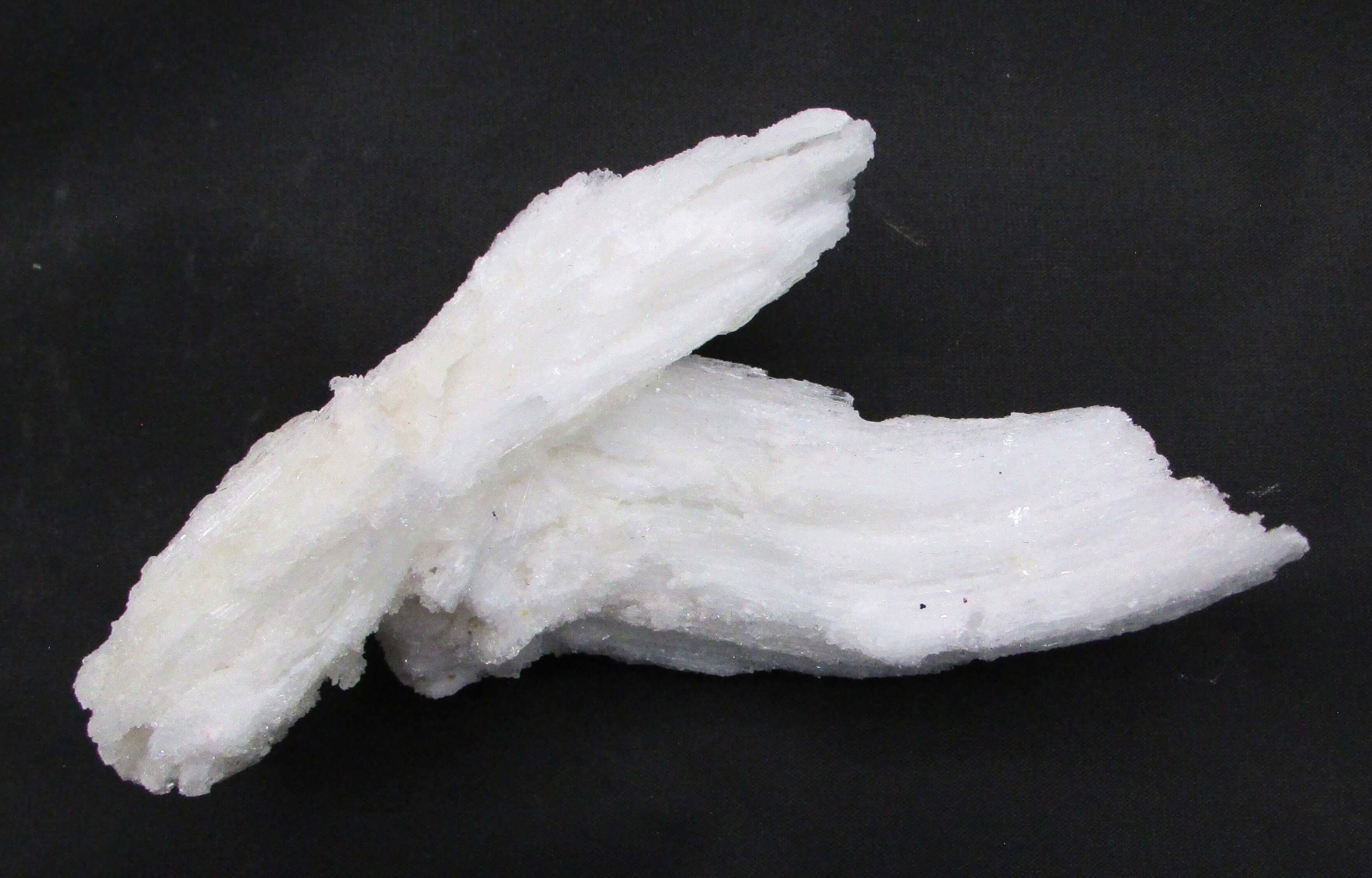 Ram's Horn Selenite - Stone of Spiritual Activation, Mental Clarity [GM115]