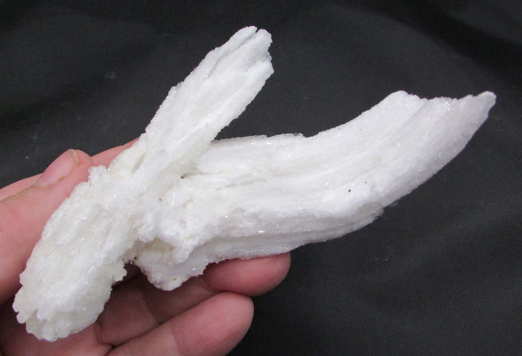 Ram's Horn Selenite - Stone of Spiritual Activation, Mental Clarity [GM115]