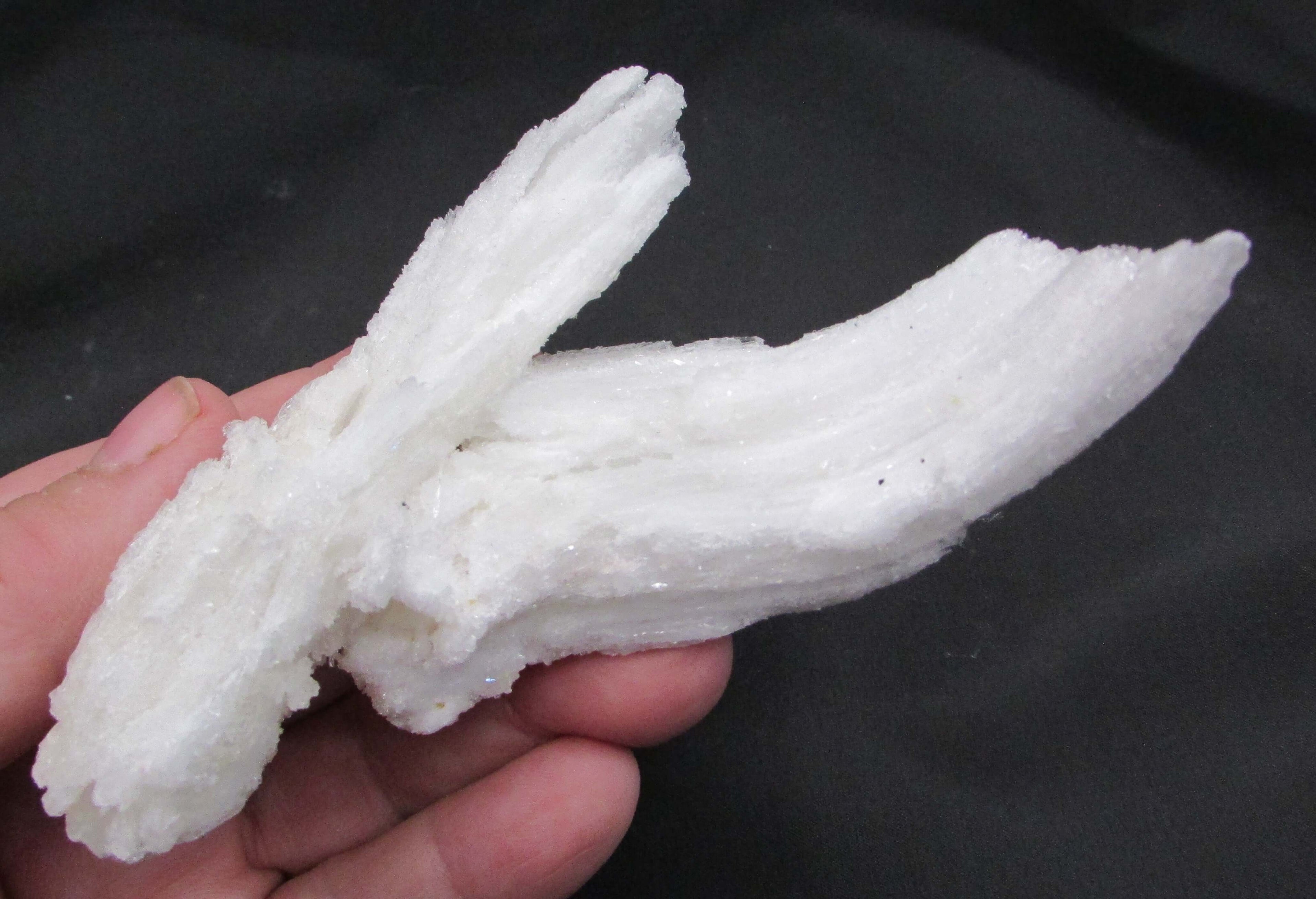 Ram's Horn Selenite - Stone of Spiritual Activation, Mental Clarity [GM115]