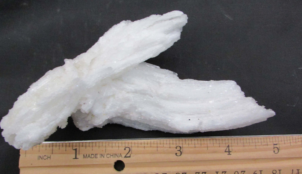 Ram's Horn Selenite - Stone of Spiritual Activation, Mental Clarity [GM115]