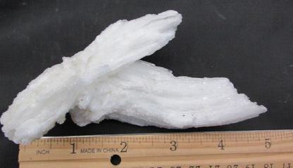 Ram's Horn Selenite - Stone of Spiritual Activation & Transformation