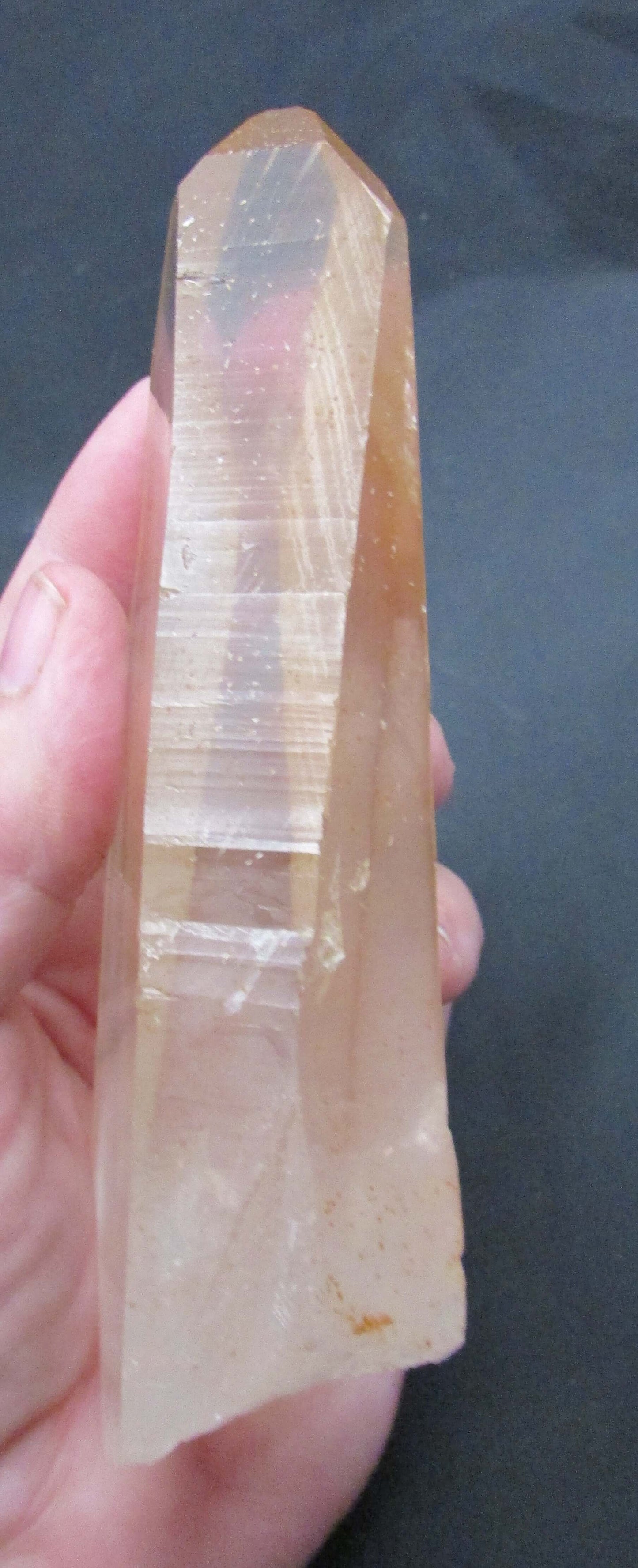 Golden Citrine Window Generator Lemurian Quartz Crystal