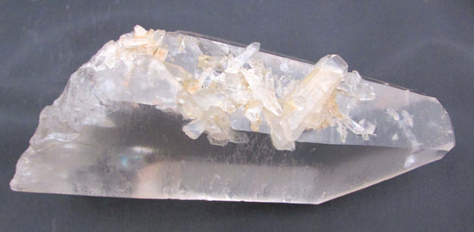 Pink “Rainbow” Starbrary Window Barnacle Generator Lemurian
