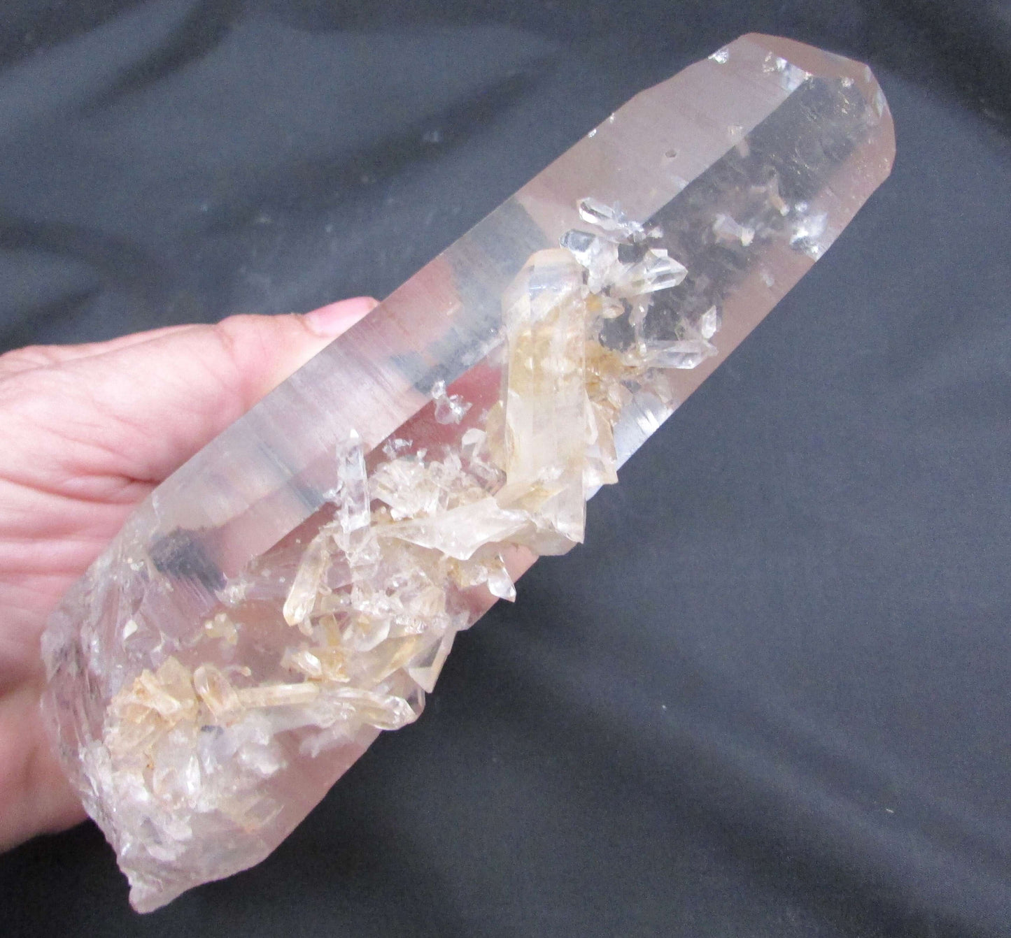 Pink “Rainbow” Starbrary Window Barnacle Generator Lemurian