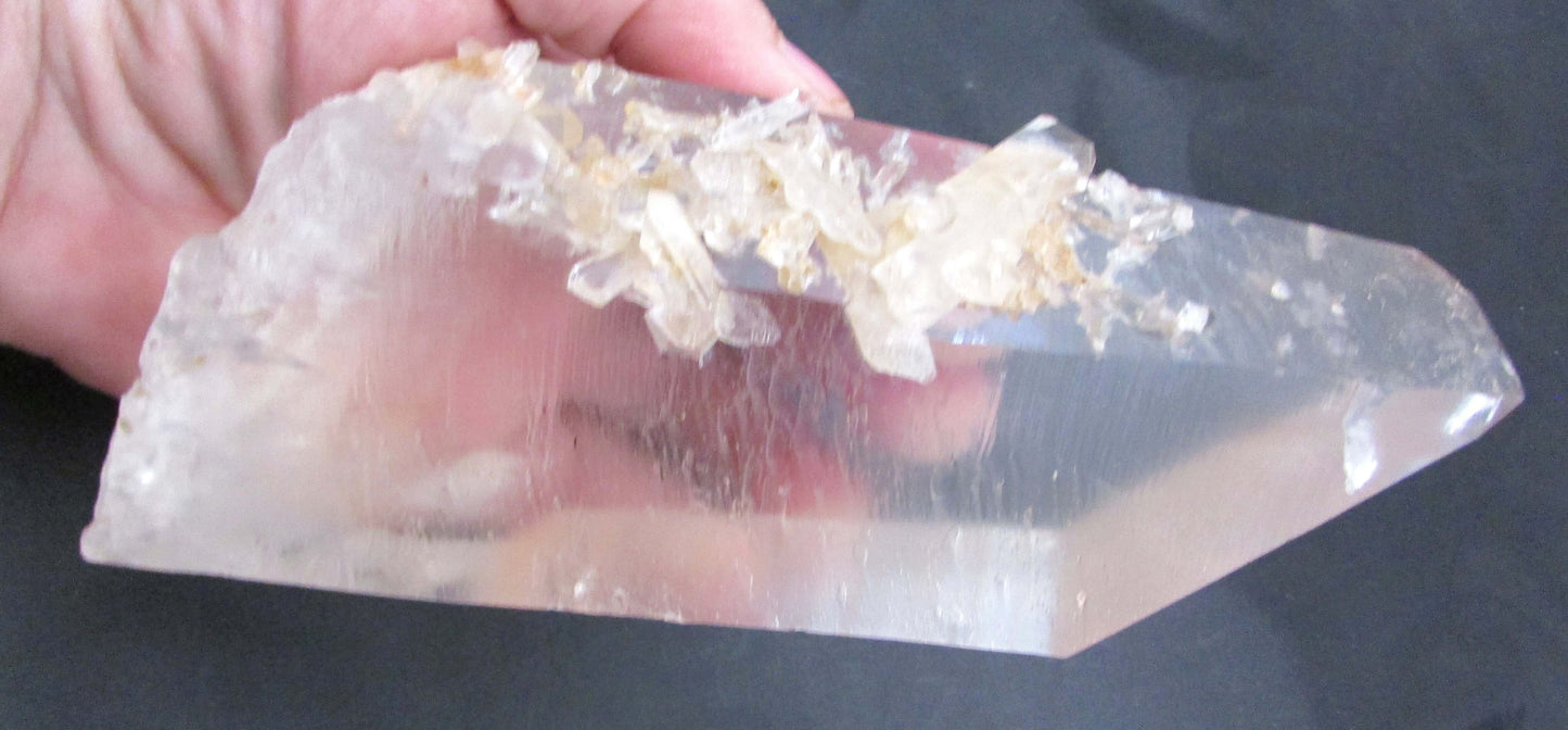 Pink “Rainbow” Starbrary Window Barnacle Generator Lemurian