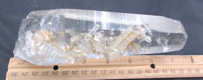 Pink “Rainbow” Starbrary Window Barnacle Generator Lemurian