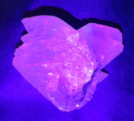 Angel Wing Selenite – Stone of Spirit, Angelic Connection & Renewal