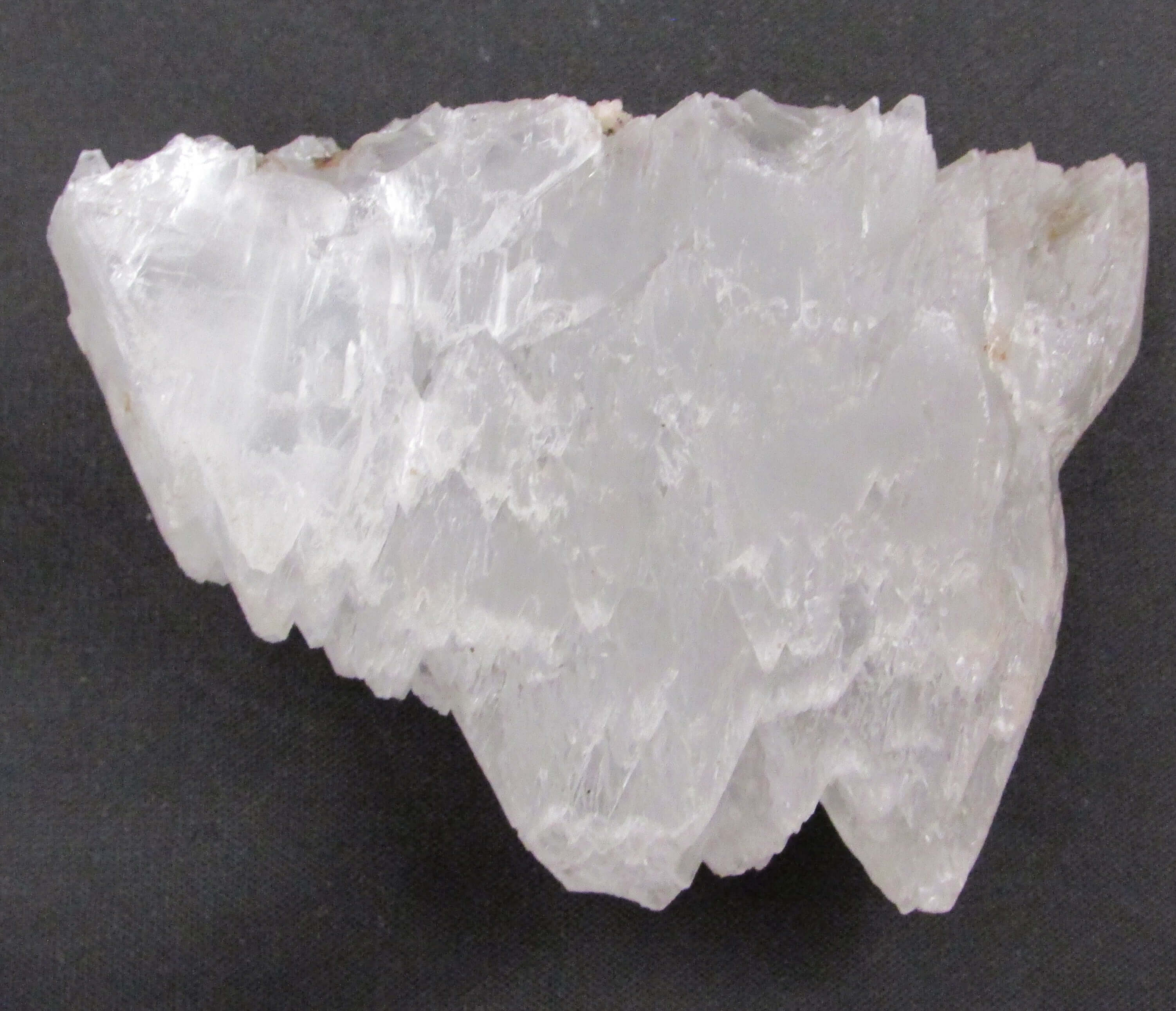 Angel Wing Selenite – Stone of Angel Connection, Transformation [GM119]