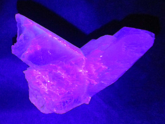 Angel Wing Selenite – Stone of Spirit, Angelic Connection & Renewal