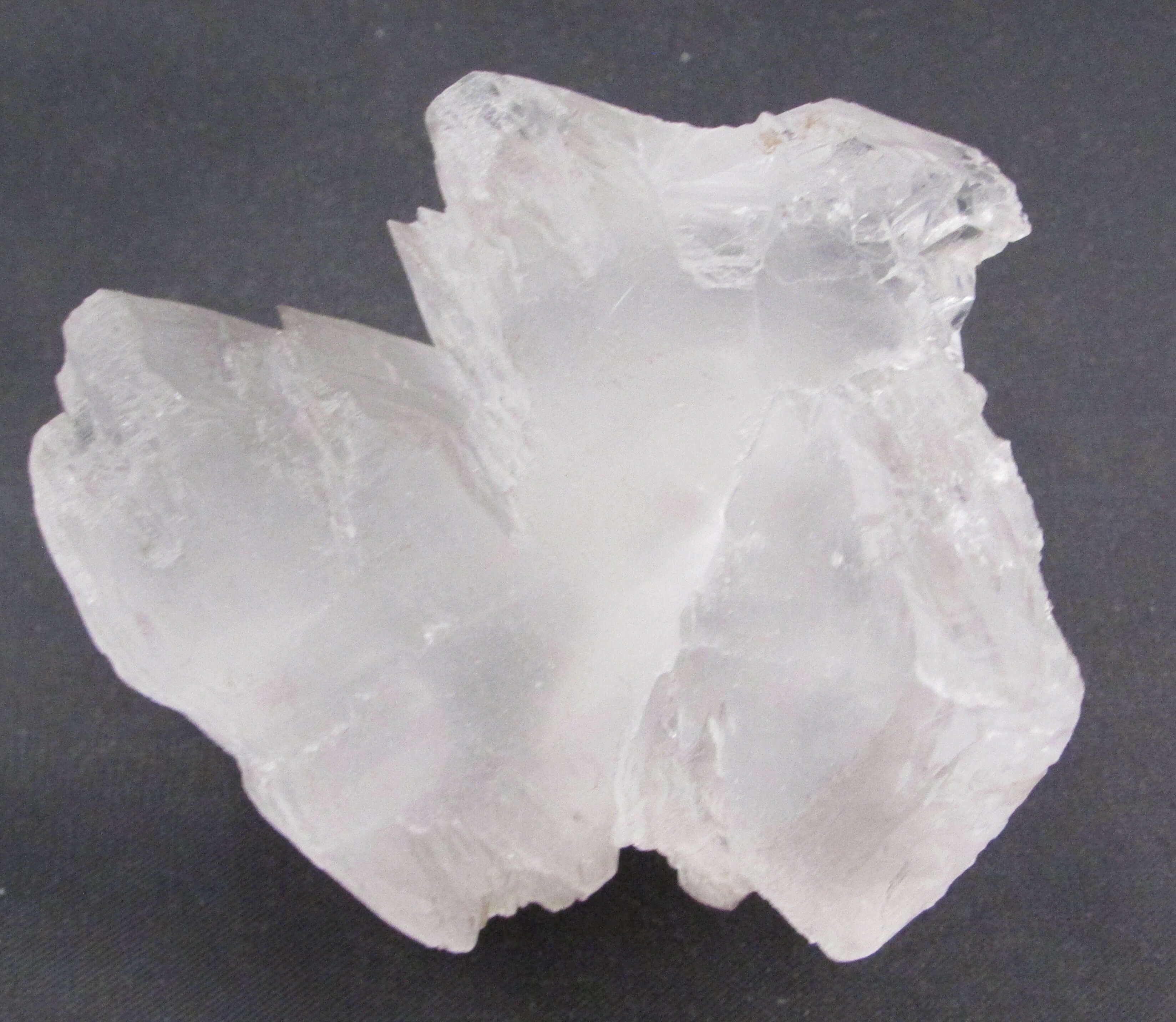 Angel Wing Selenite – Stone of Angel Connection, Transformation [GM121]