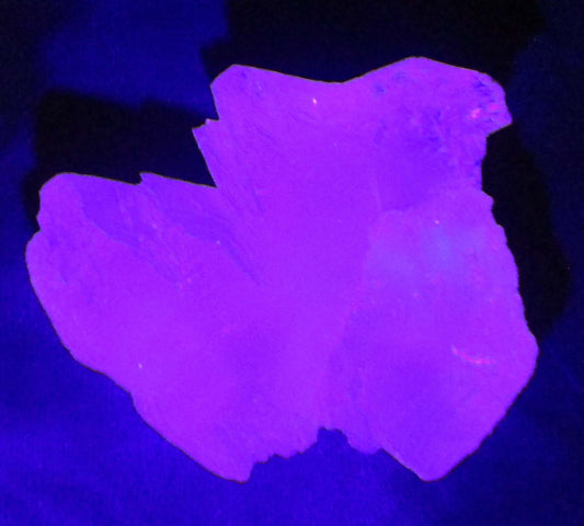 Angel Wing Selenite – Stone of Spirit, Angelic Connection & Renewal