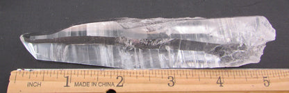 Rare Silver Flash Dolphin Generator Lemurian Quartz Crystal – Psychic Shield & Lunar Light