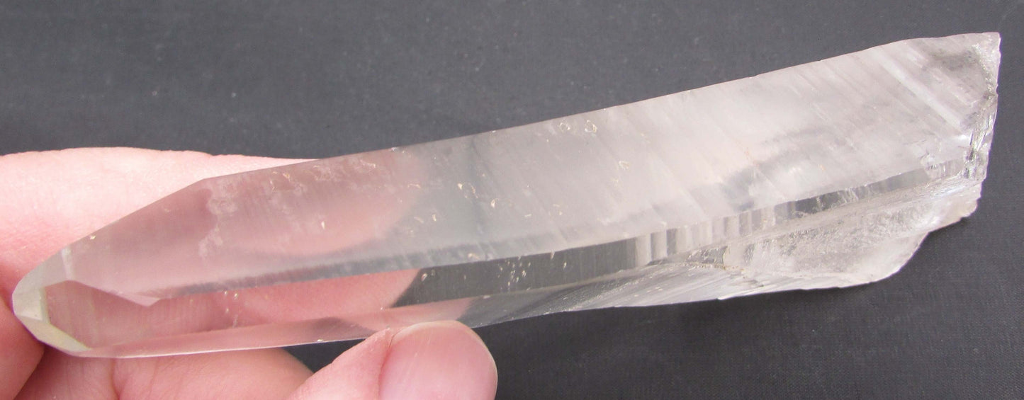 Dolphin Rainbow Window Lemurian Quartz Crystal for Empaths - Trust & Gentle Transformation