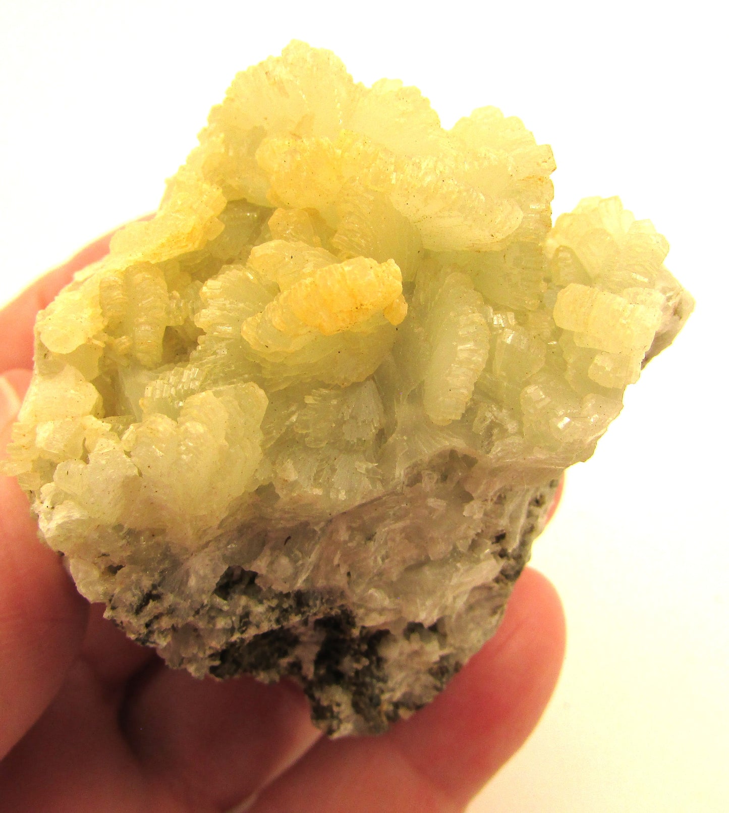 Prehnite (Unpolished, South Africa) – Heal the Healer, Dreaming & Unconditional Love