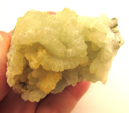 Prehnite (Unpolished, South Africa) – Heal the Healer, Dreaming & Unconditional Love