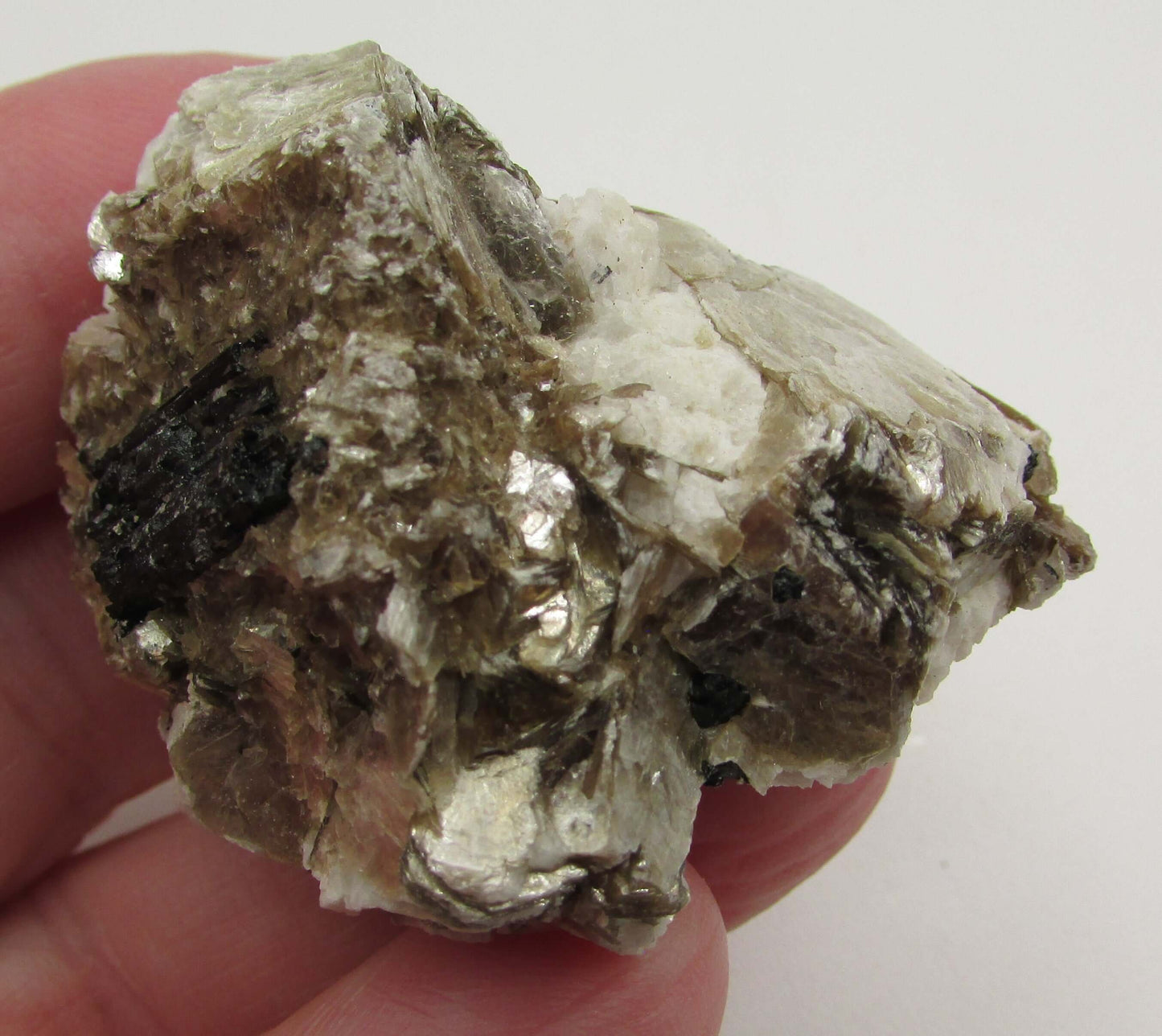 Golden Yellow Muscovite Black Tourmaline (Brazil) – Bigger Picture Vision, Clarity & Protective Growth