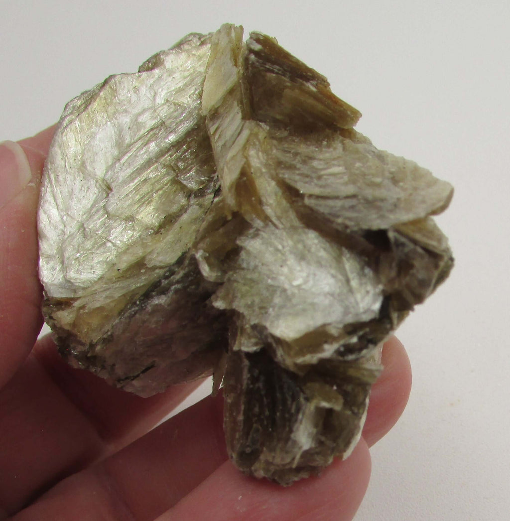 Golden Yellow Muscovite Black Tourmaline – Bigger Picture Vision, Clarity [NTG128]