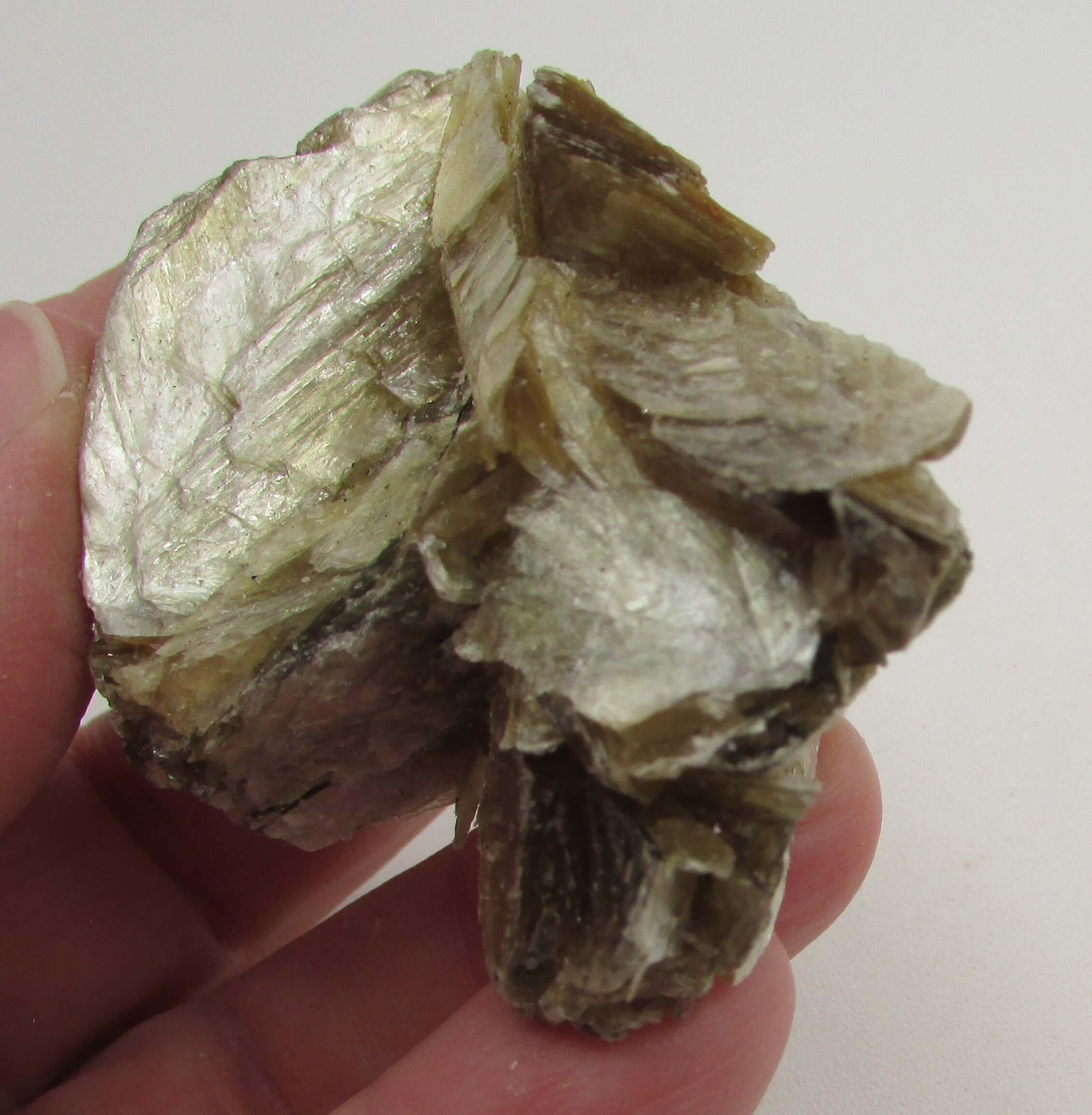 Golden Yellow Muscovite Black Tourmaline – Bigger Picture Vision, Clarity [NTG128]