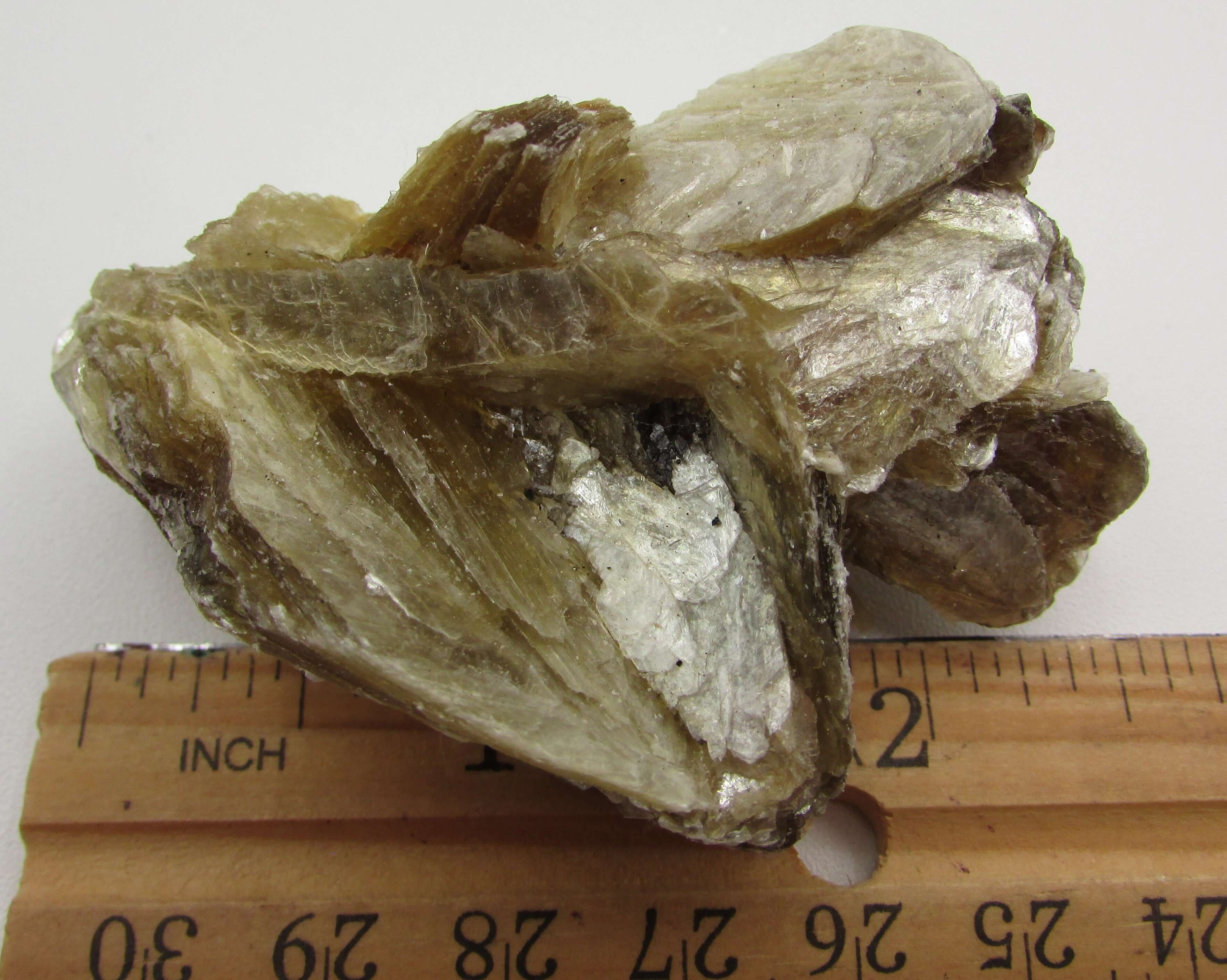 Golden Yellow Muscovite Black Tourmaline – Bigger Picture Vision, Clarity [NTG128]