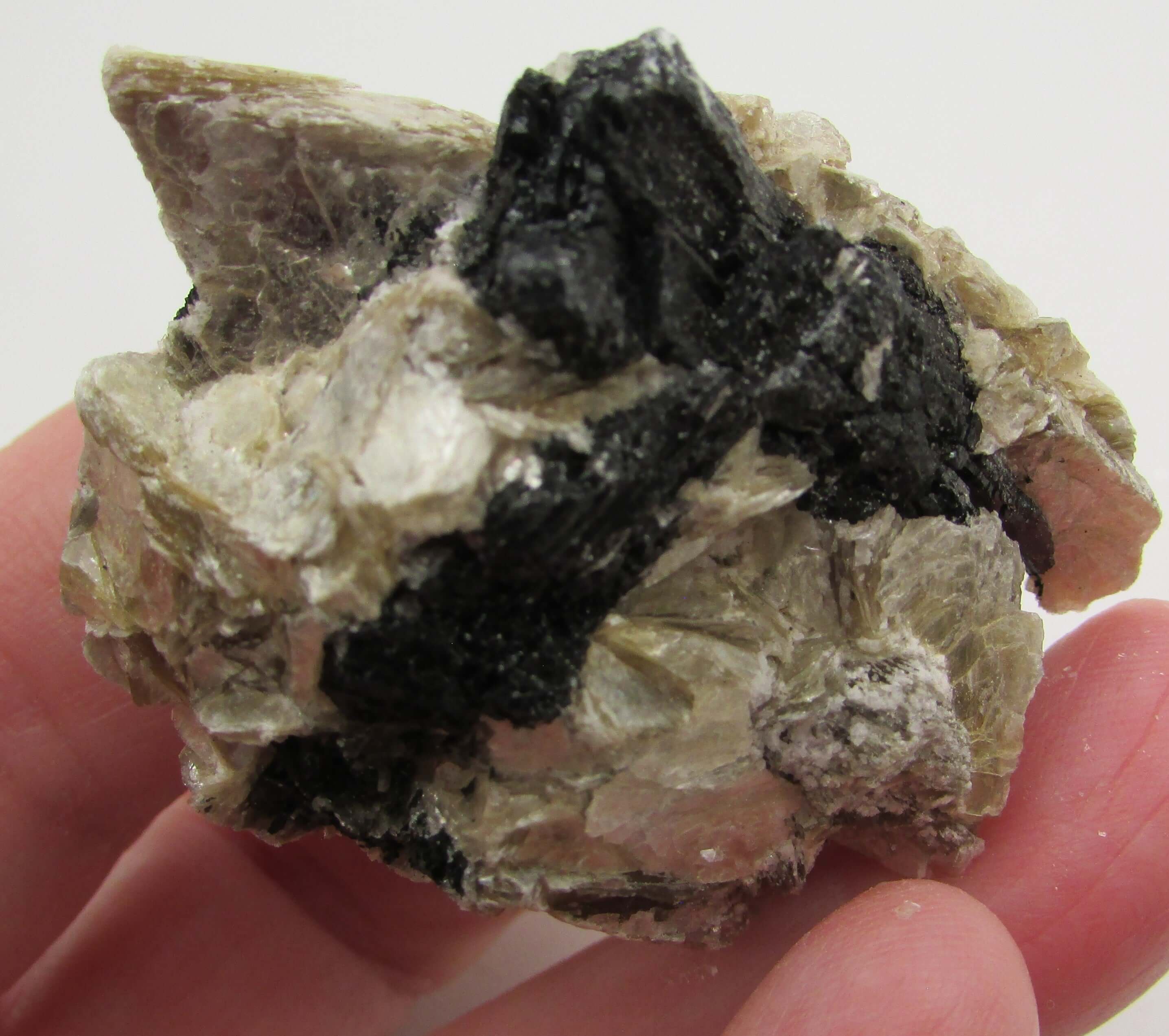 Golden Yellow Muscovite Black Tourmaline – Bigger Picture Vision, Clarity [NTG133]