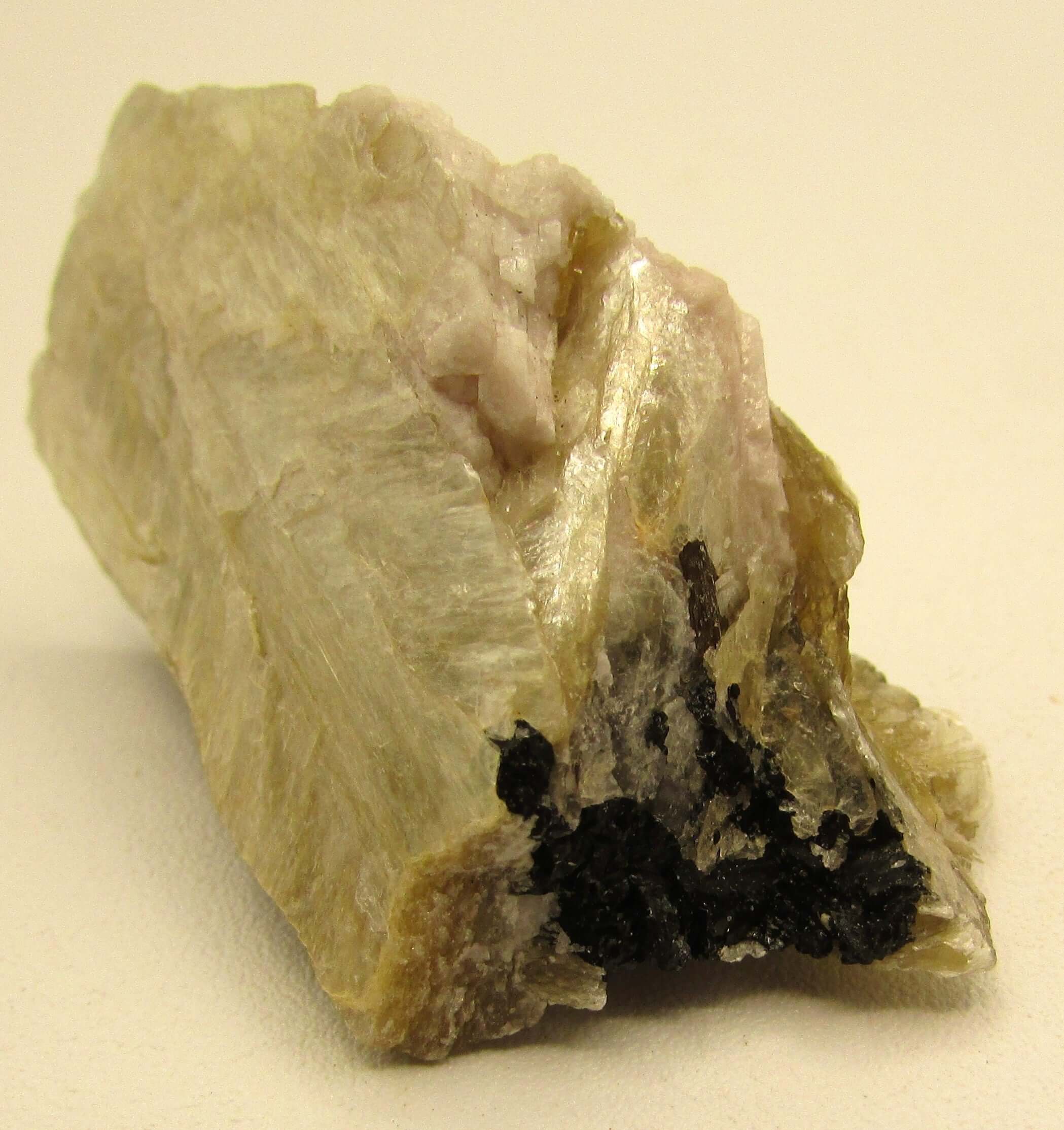 Golden Yellow Muscovite Black Tourmaline – Bigger Picture Vision, Clarity [NTG101]