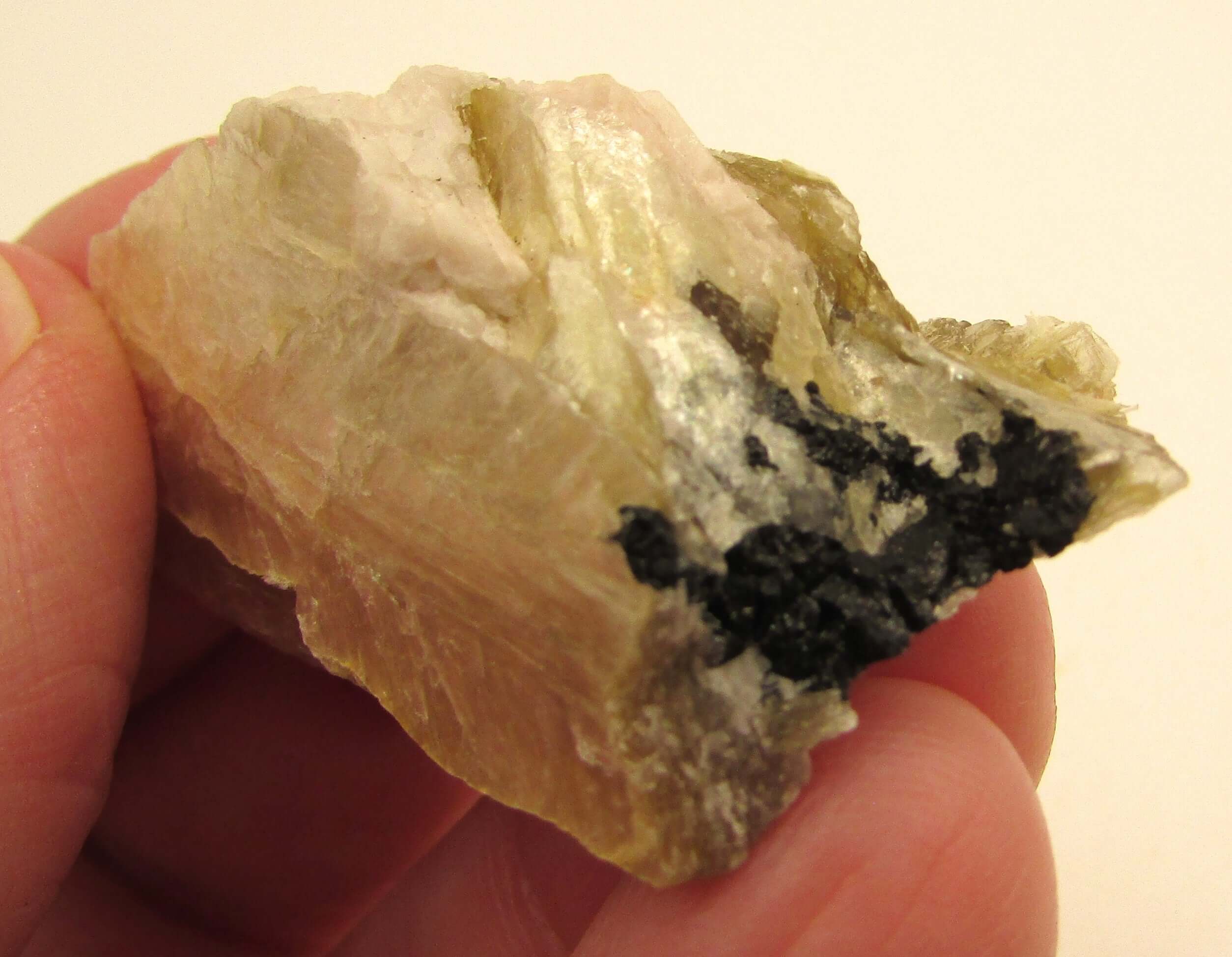 Golden Yellow Muscovite Black Tourmaline – Bigger Picture Vision, Clarity [NTG101]