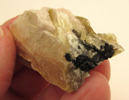Golden Yellow Muscovite Black Tourmaline (Brazil) – Bigger Picture Vision, Clarity & Protective Growth