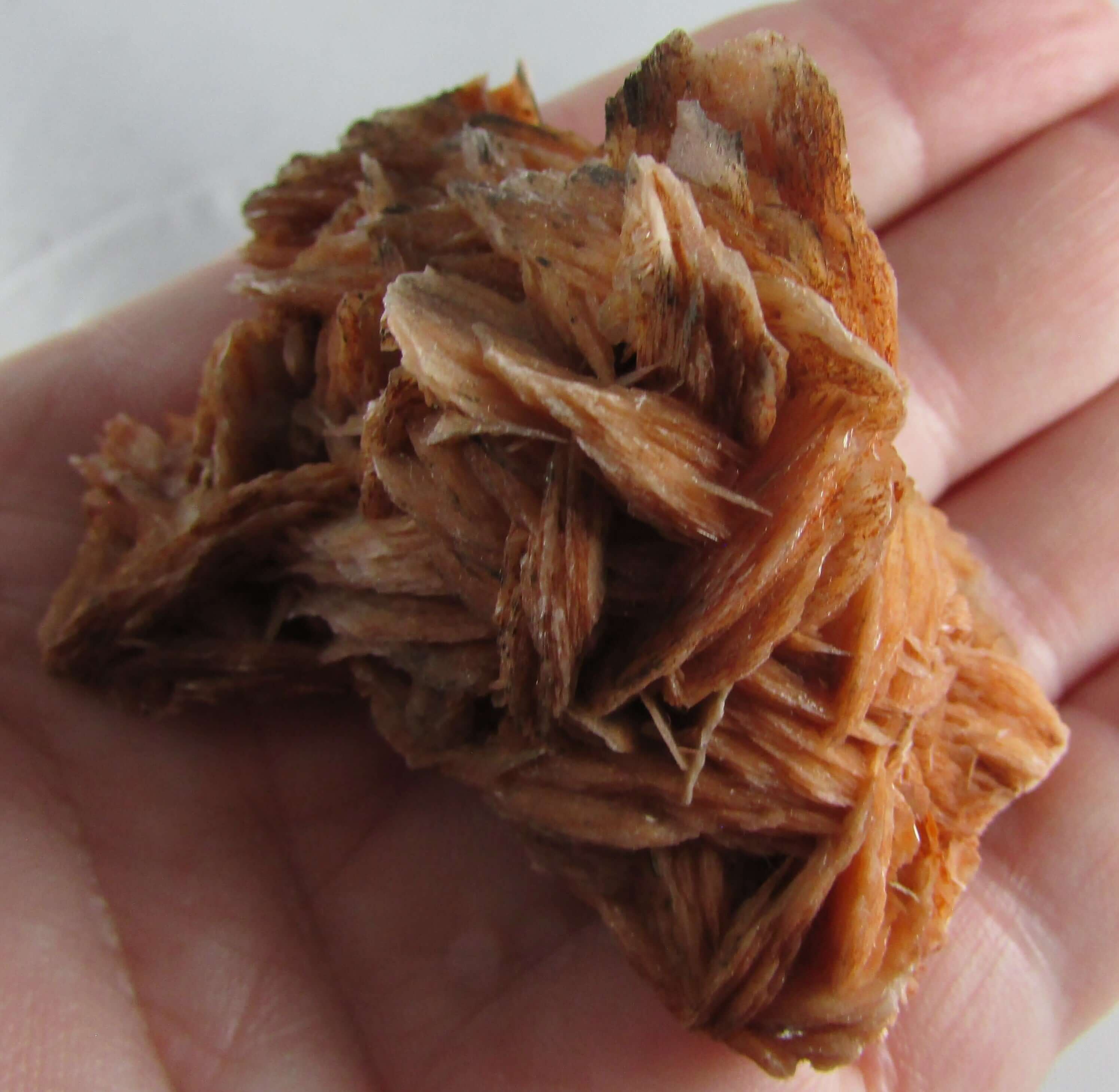Rose Barite Cluster – Intuitive Insights, Energy Detoxification, Life Purpose [ALC9]