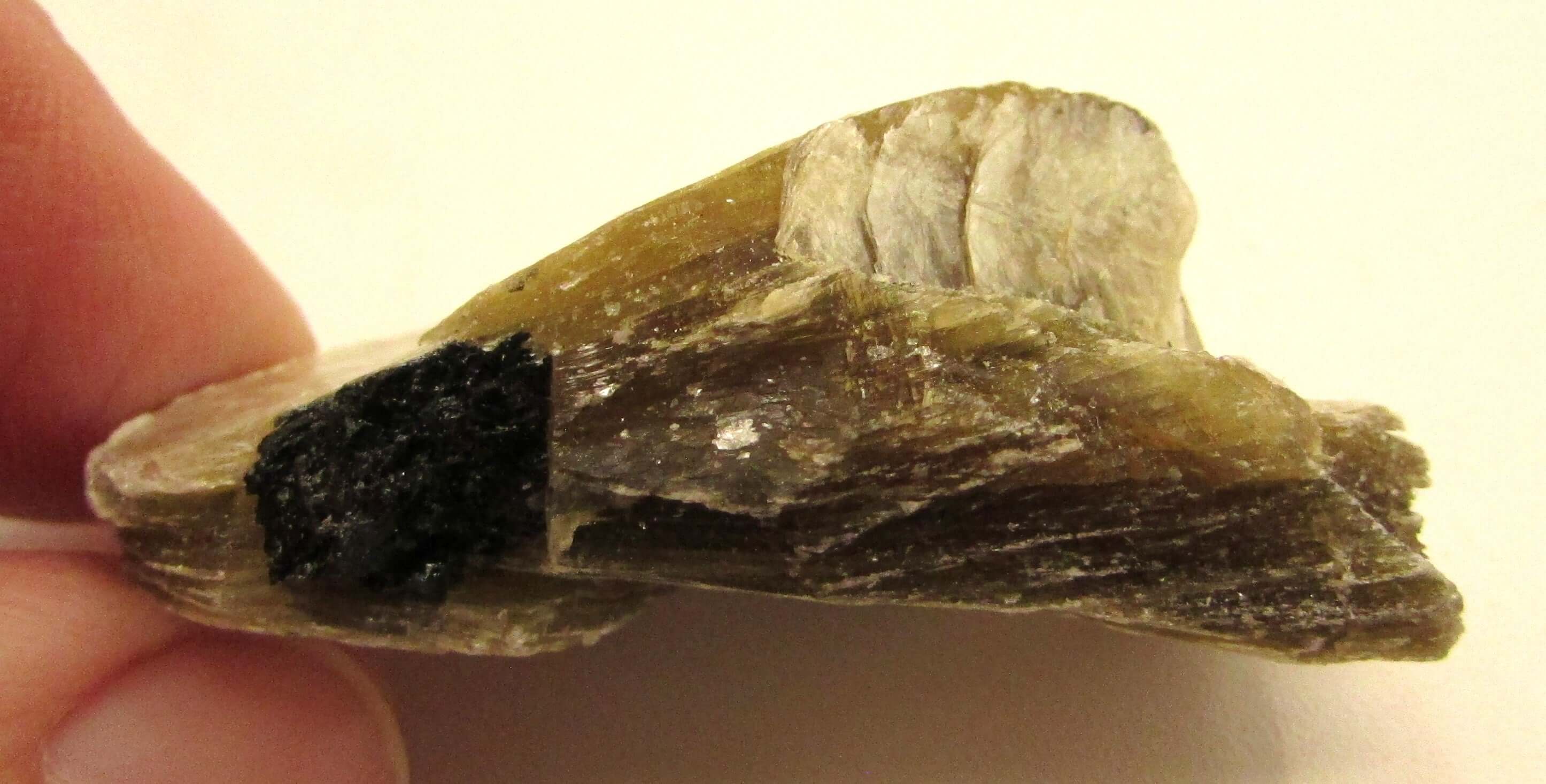 Golden Yellow Muscovite Black Tourmaline – Bigger Picture Vision, Clarity [NTG108]