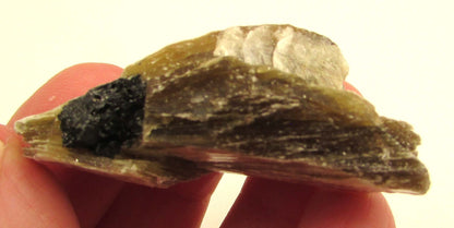 Golden Yellow Muscovite Black Tourmaline (Brazil) – Bigger Picture Vision, Clarity & Protective Growth