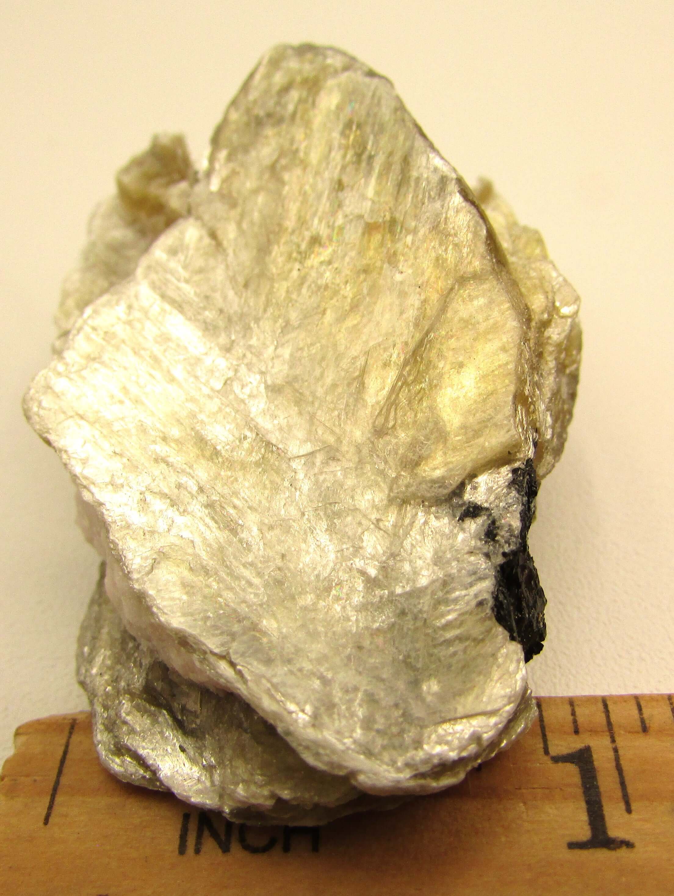 Golden Yellow Muscovite Black Tourmaline – Bigger Picture Vision, Clarity [NTG108]