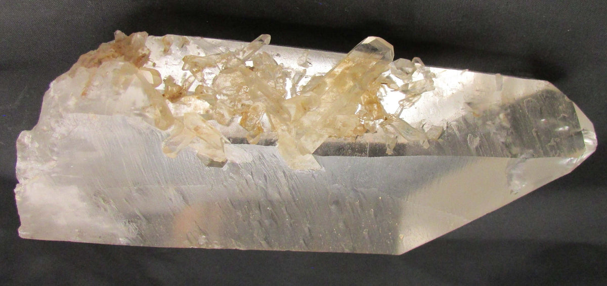 Clear crystal with embedded yellow crystals on a black background