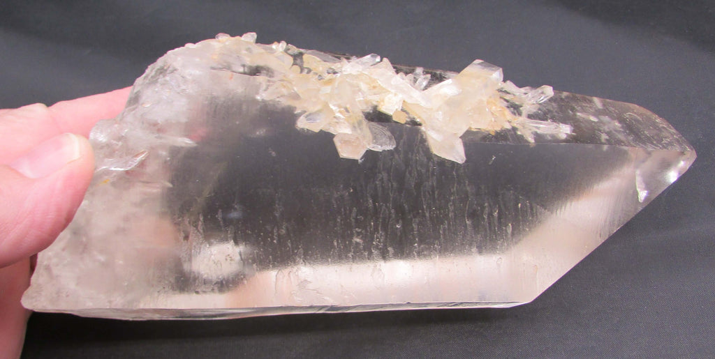 Pink Starbrary Window Barnacle Lemurian – Soul Integration, Akashic Access, Cosmic Guidance [FRG106]