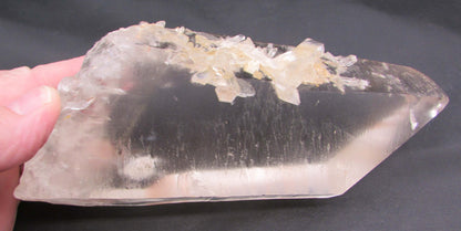 Pink Starbrary Window Barnacle Lemurian – Soul Integration, Akashic Access & Cosmic Guidance | Sacred Keeper