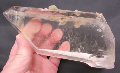 Pink Starbrary Window Barnacle Lemurian – Soul Integration, Akashic Access & Cosmic Guidance | Sacred Keeper