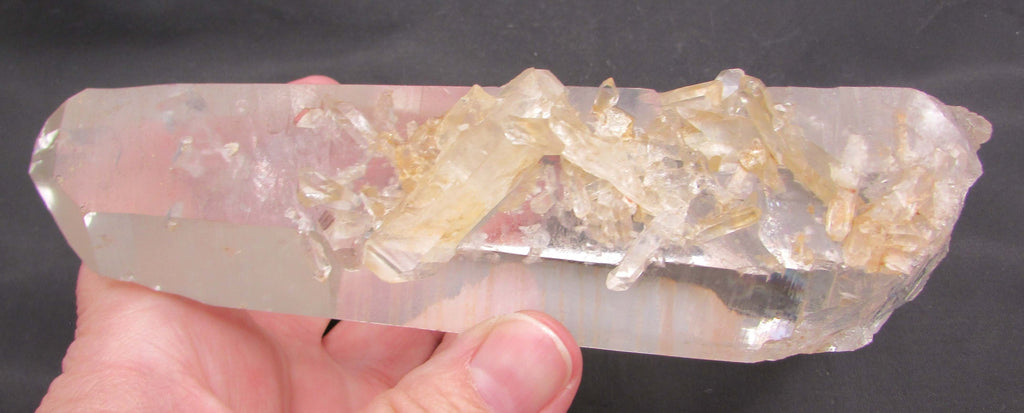 Pink Starbrary Window Barnacle Lemurian – Soul Integration, Akashic Access, Cosmic Guidance [FRG106]