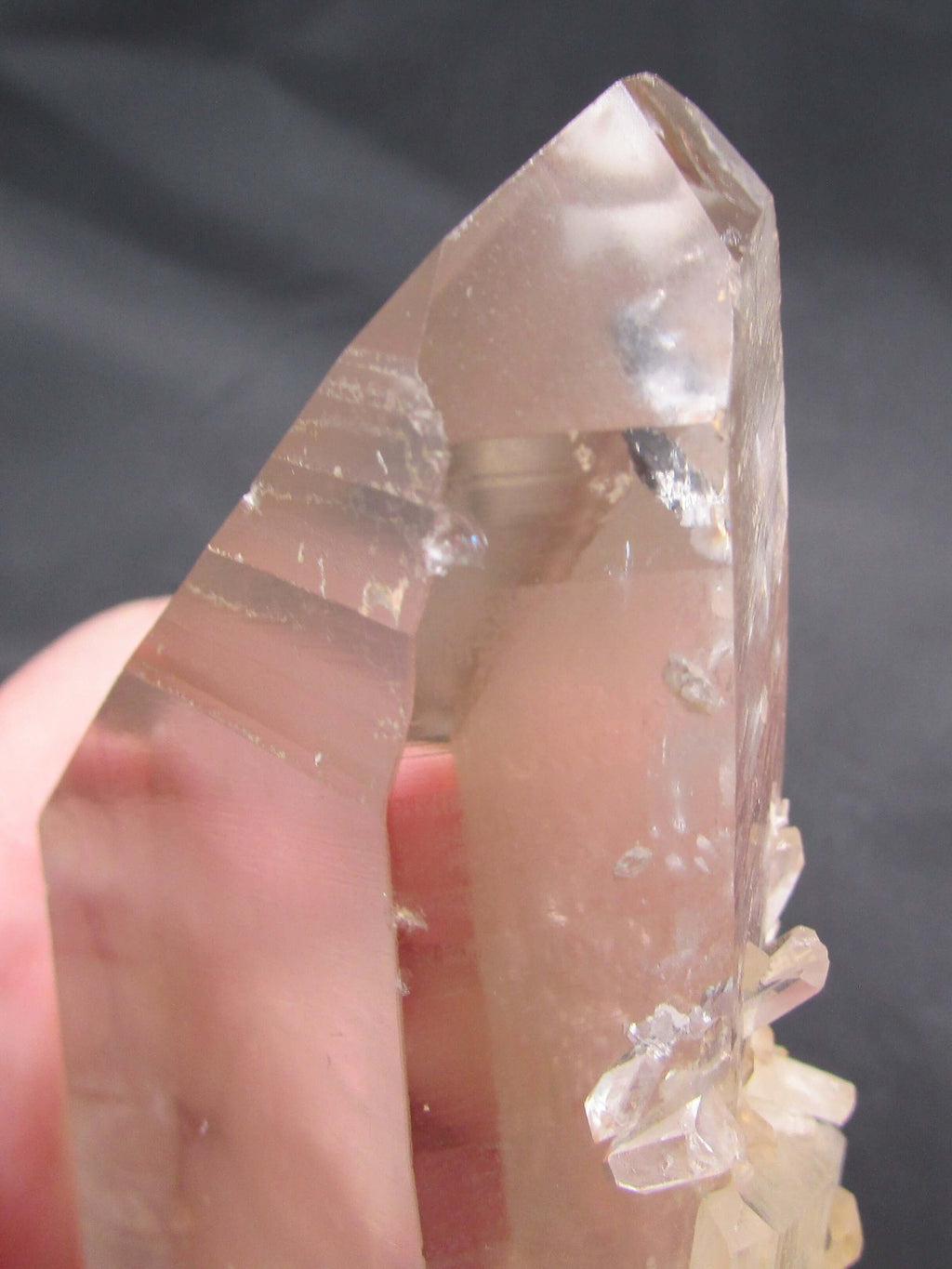 Pink Starbrary Window Barnacle Lemurian – Soul Integration, Akashic Access, Cosmic Guidance [FRG106]