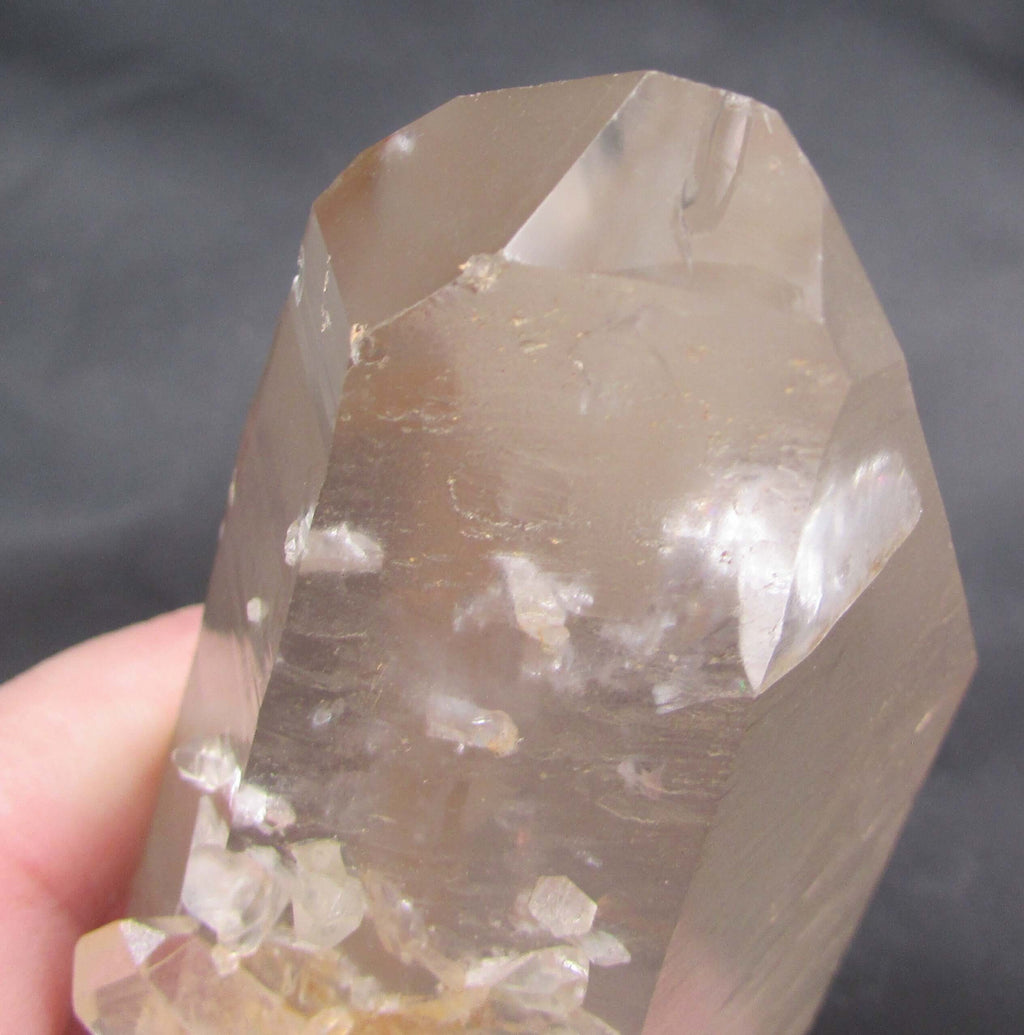Pink Starbrary Window Barnacle Lemurian – Soul Integration, Akashic Access, Cosmic Guidance [FRG106]